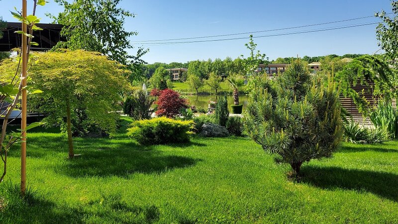 Corbeanca, vanzare vila la lac